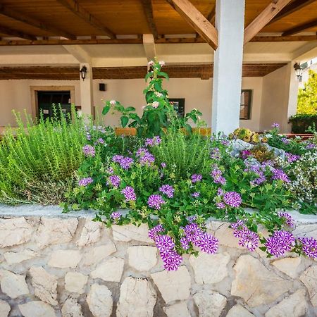 Apartments Galeb บลัตเซ ภายนอก รูปภาพ